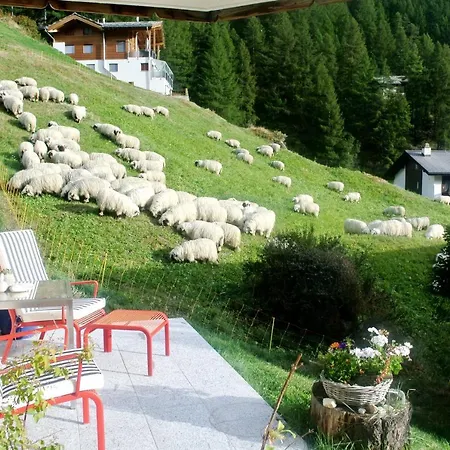 Bielti Apartman *